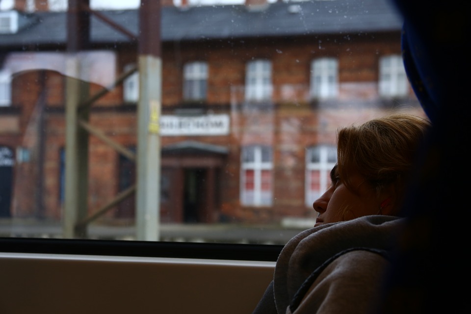 The Window