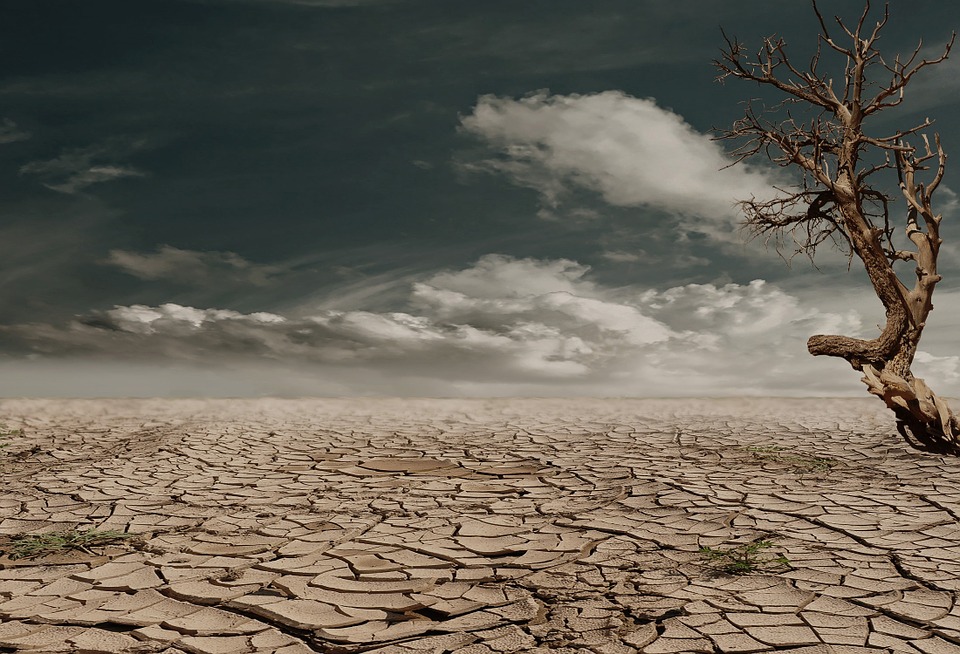 A Desert Soul, Part&nbsp;3